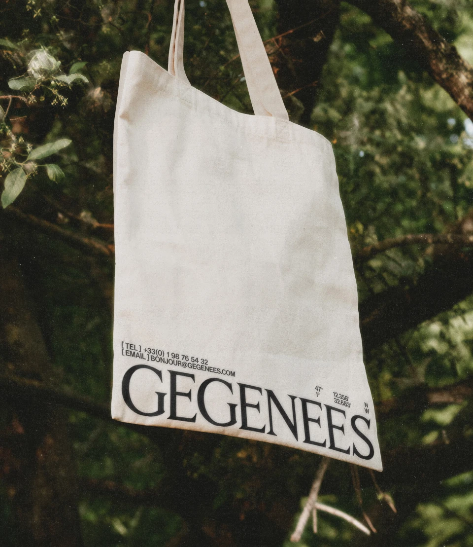 Arthur Barat — GEGENEES Concept - Work in Progress v0.9 : Homepage PC et MB